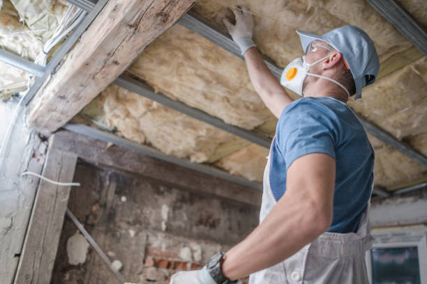 Best Insulation Materials and Products in Flossmoor, IL
